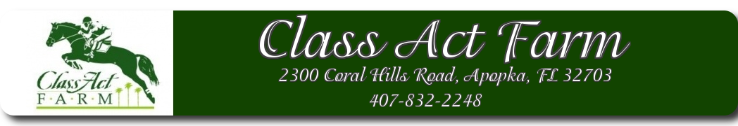 Class Act Farm - Boarding, Riding Lessons & Training for Orlando Area